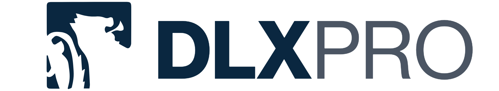 DLXPRO