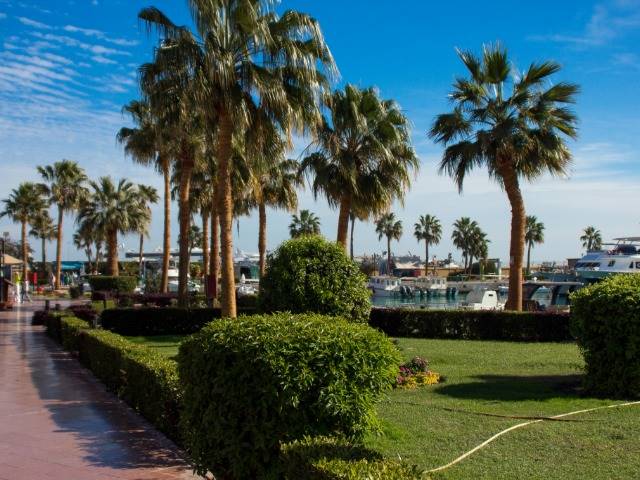 Executive mobile podcast production for professional firms in Palm Beach Gardens.